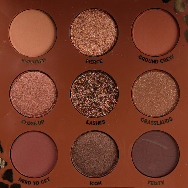 colourpop_wild-child_003_palette