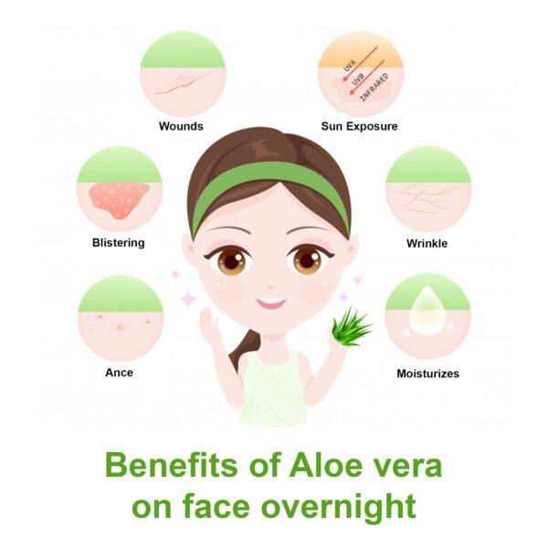 Aloe vera benefits 1